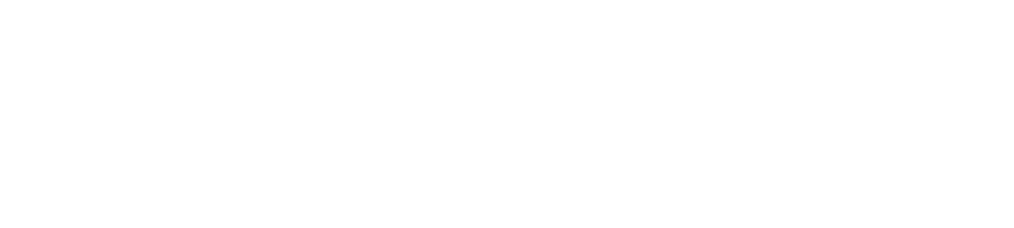 Official Airline Partner