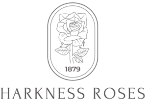 The Harkness Roses Company