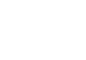 The Harkness Roses Company