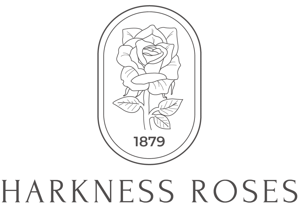 Harkness Roses logo in black.